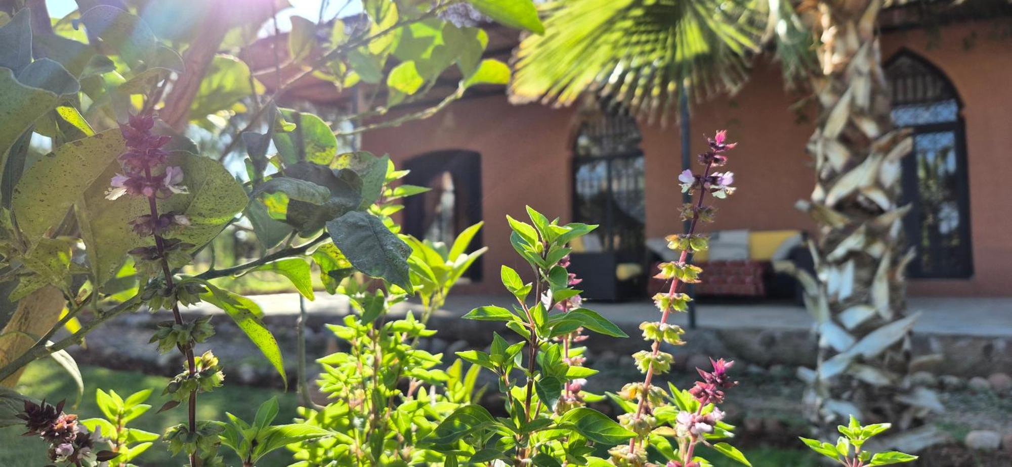 La Terra Rosa Hotel Douar Akkara Ngoại thất bức ảnh
