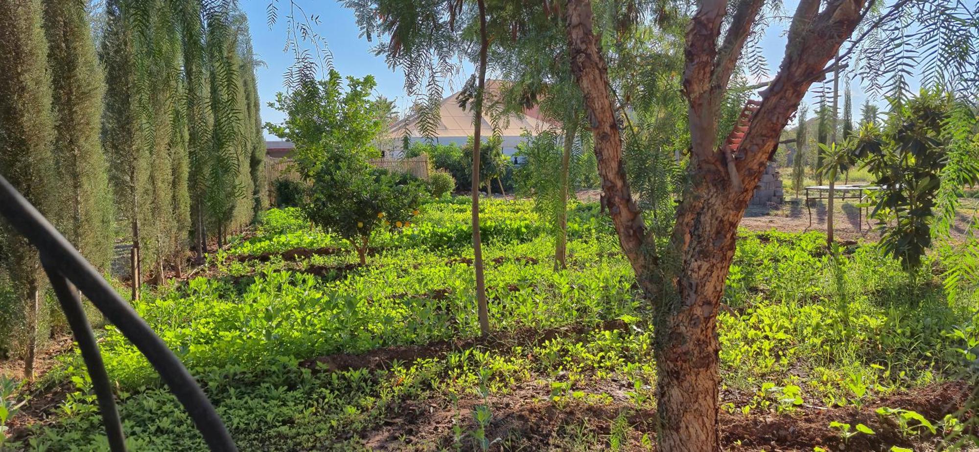 La Terra Rosa Hotel Douar Akkara Ngoại thất bức ảnh